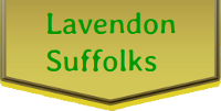 www.lavendonsuffolks.co.uk